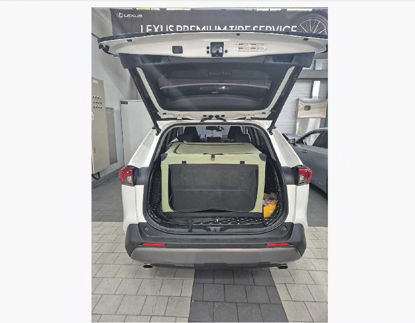 토요타 RAV4 Hybrid AWD