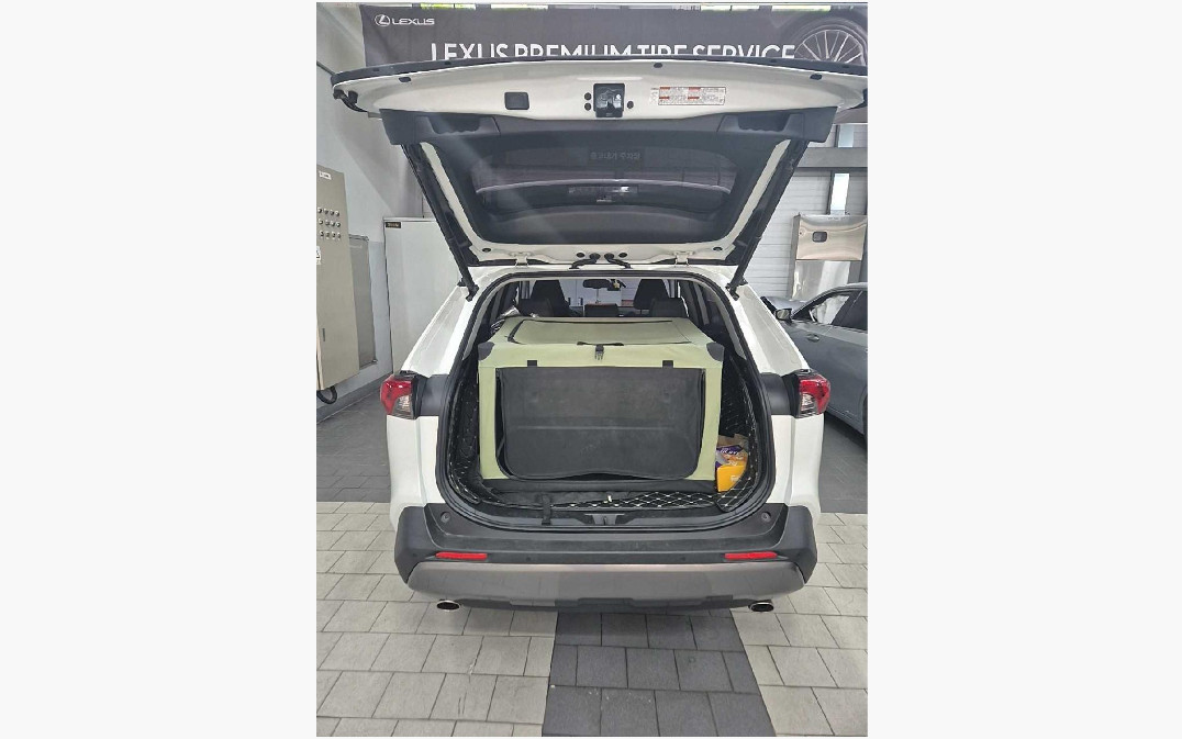 토요타 RAV4 Hybrid AWD
