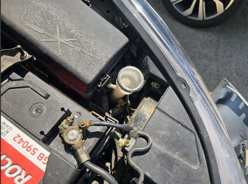 크루즈 2.0 디젤