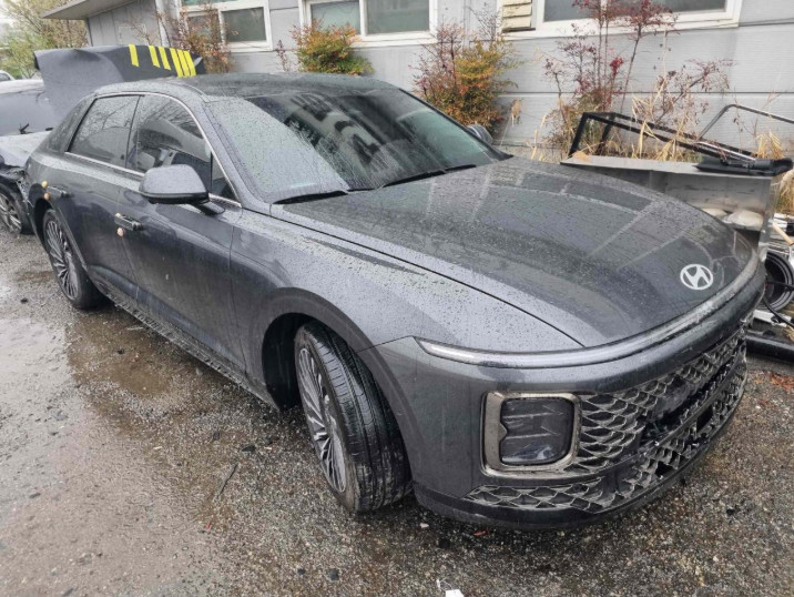 그랜저 하이브리드(GRANDEUR HYBRID)