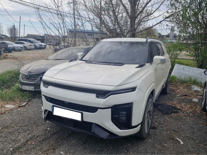 액티언 하이브리드