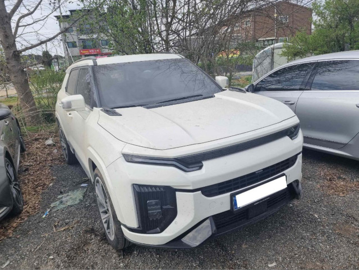 액티언 하이브리드