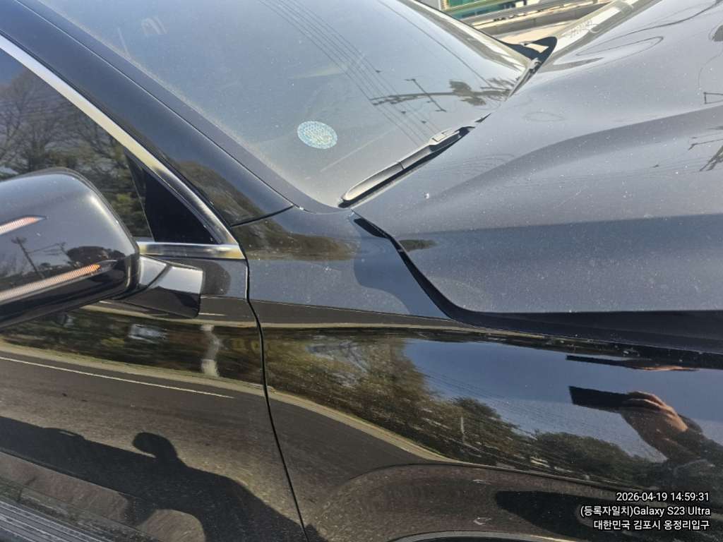 팰리세이드(PALISADE)(사업자)