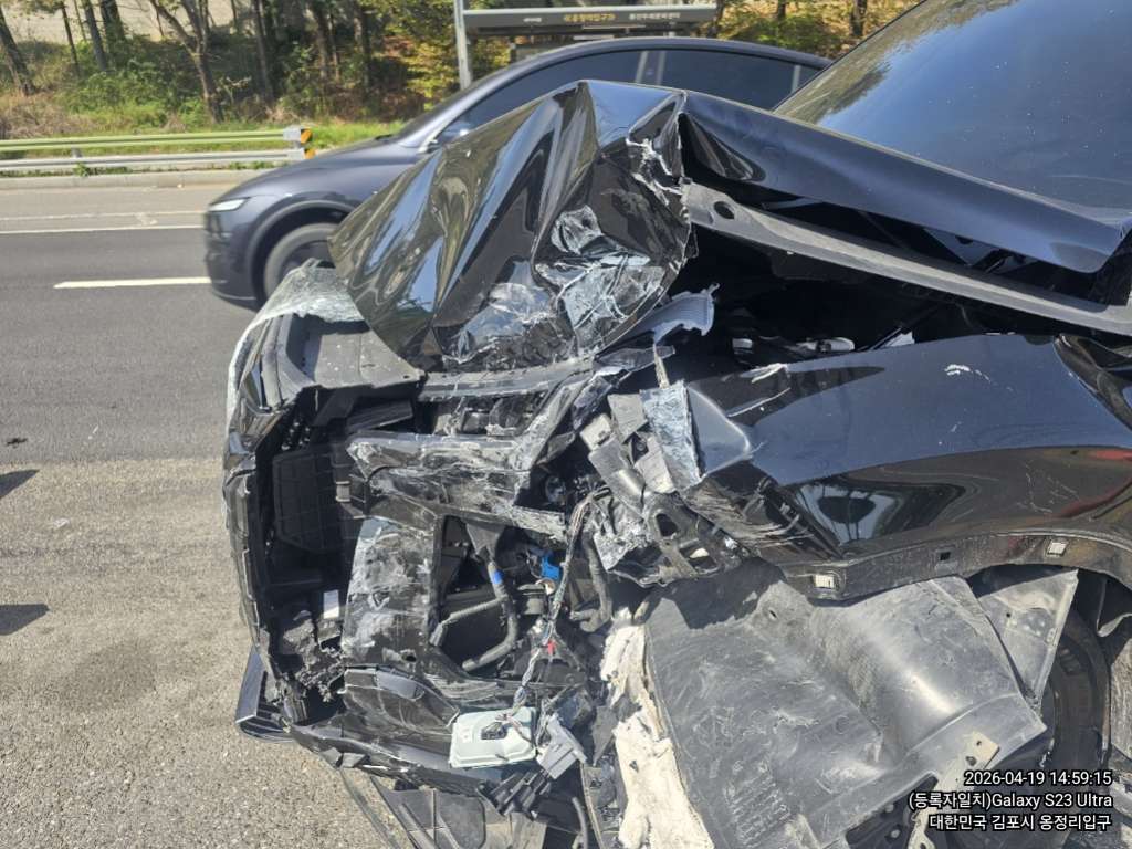 팰리세이드(PALISADE)(사업자)