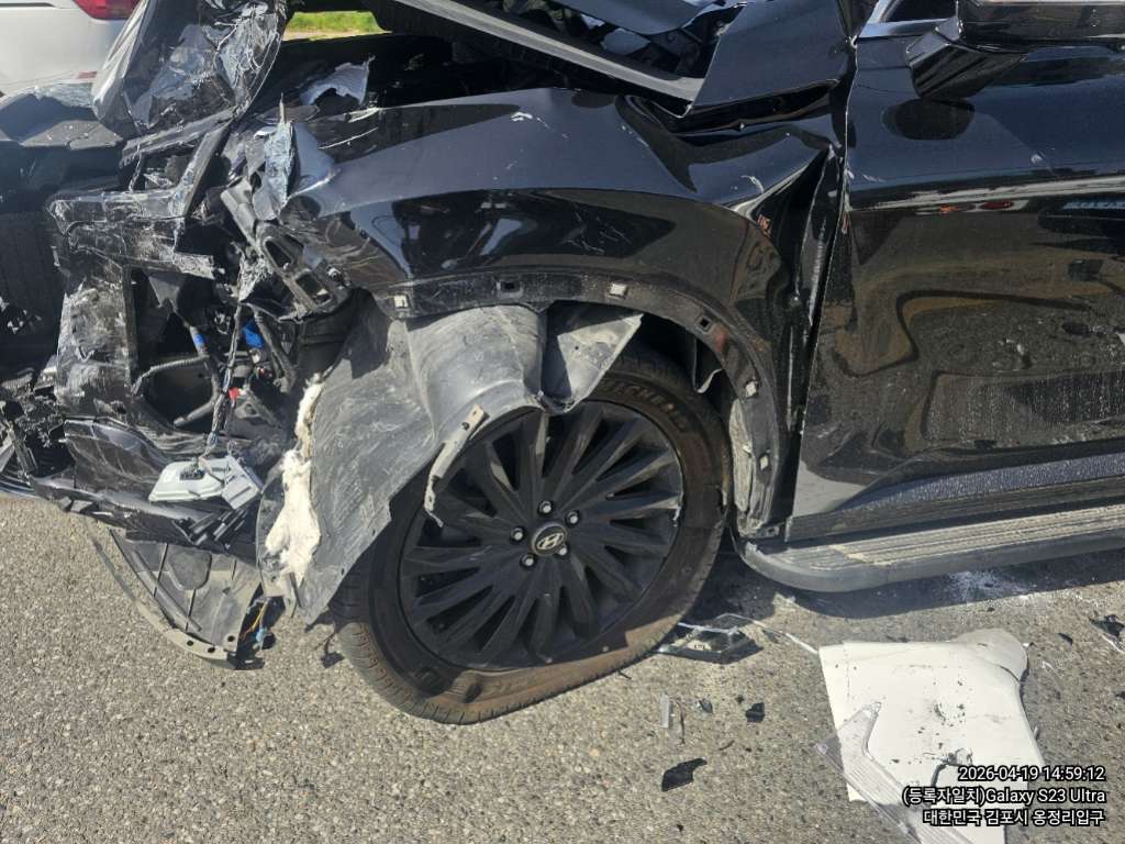 팰리세이드(PALISADE)(사업자)