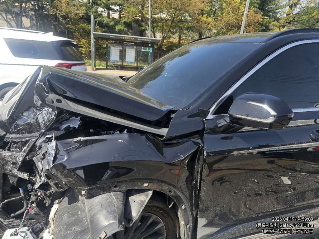 팰리세이드(PALISADE)(사업자)