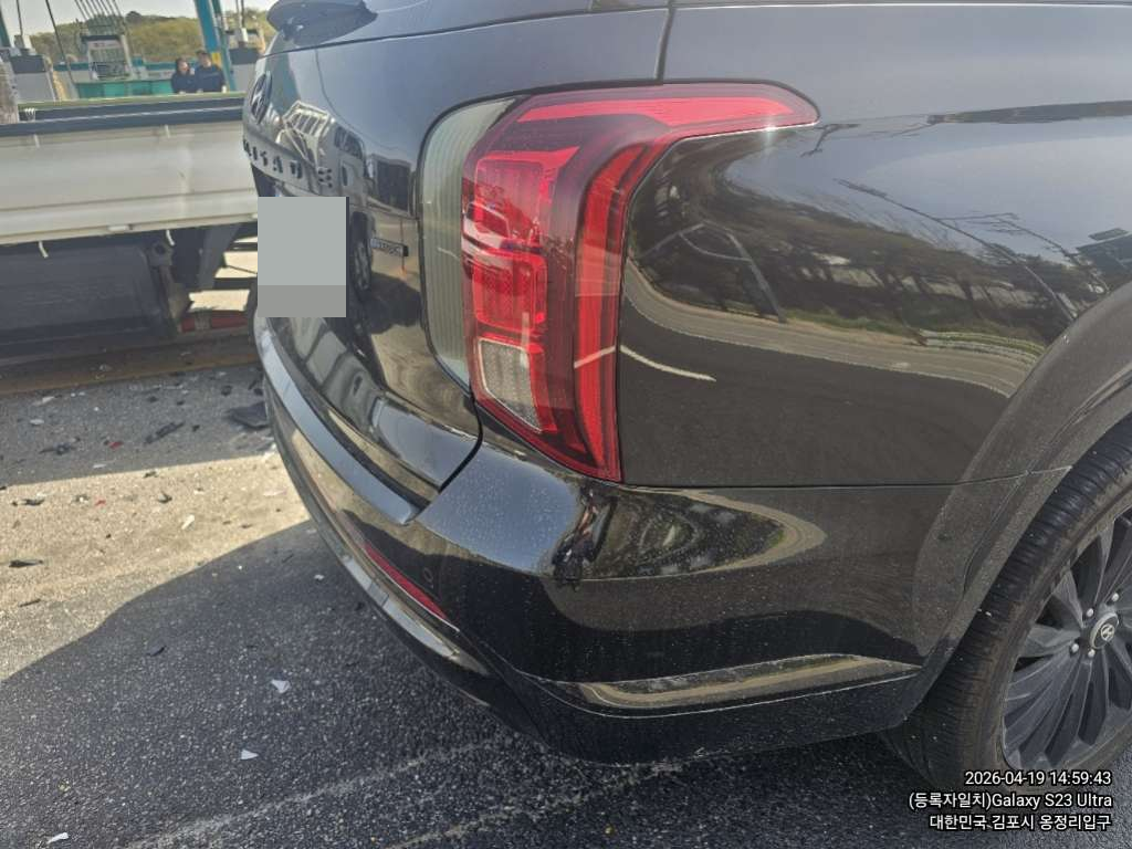 팰리세이드(PALISADE)(사업자)