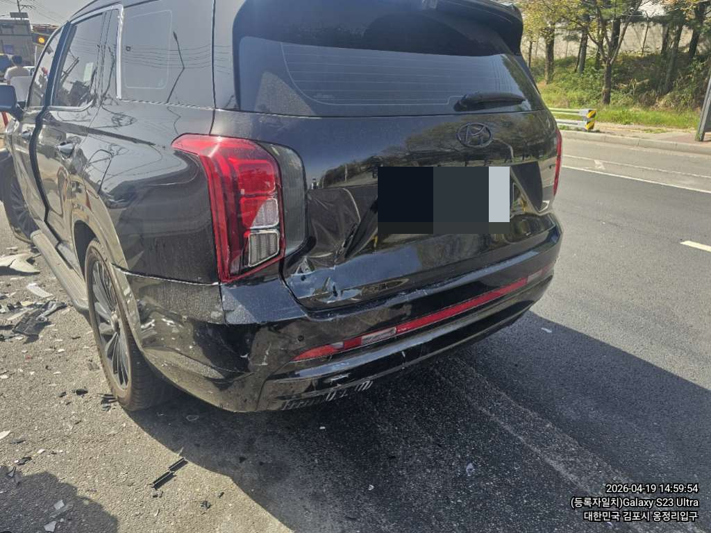 팰리세이드(PALISADE)(사업자)