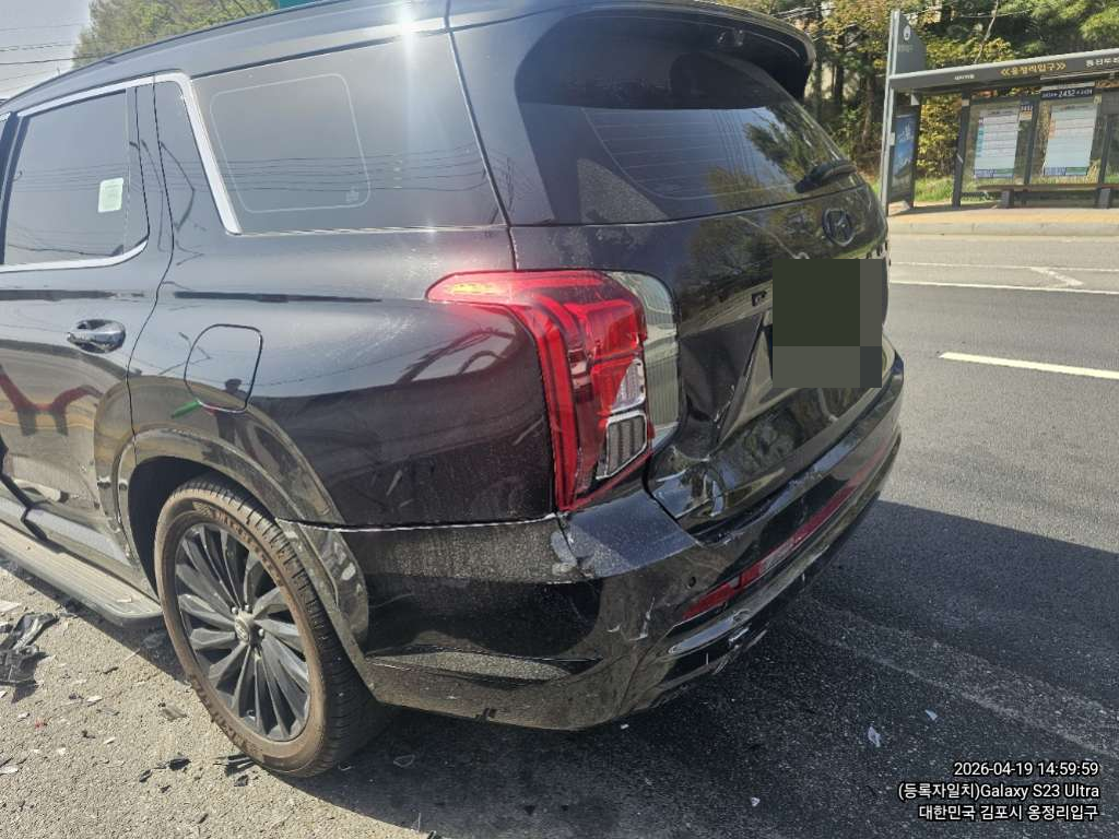 팰리세이드(PALISADE)(사업자)