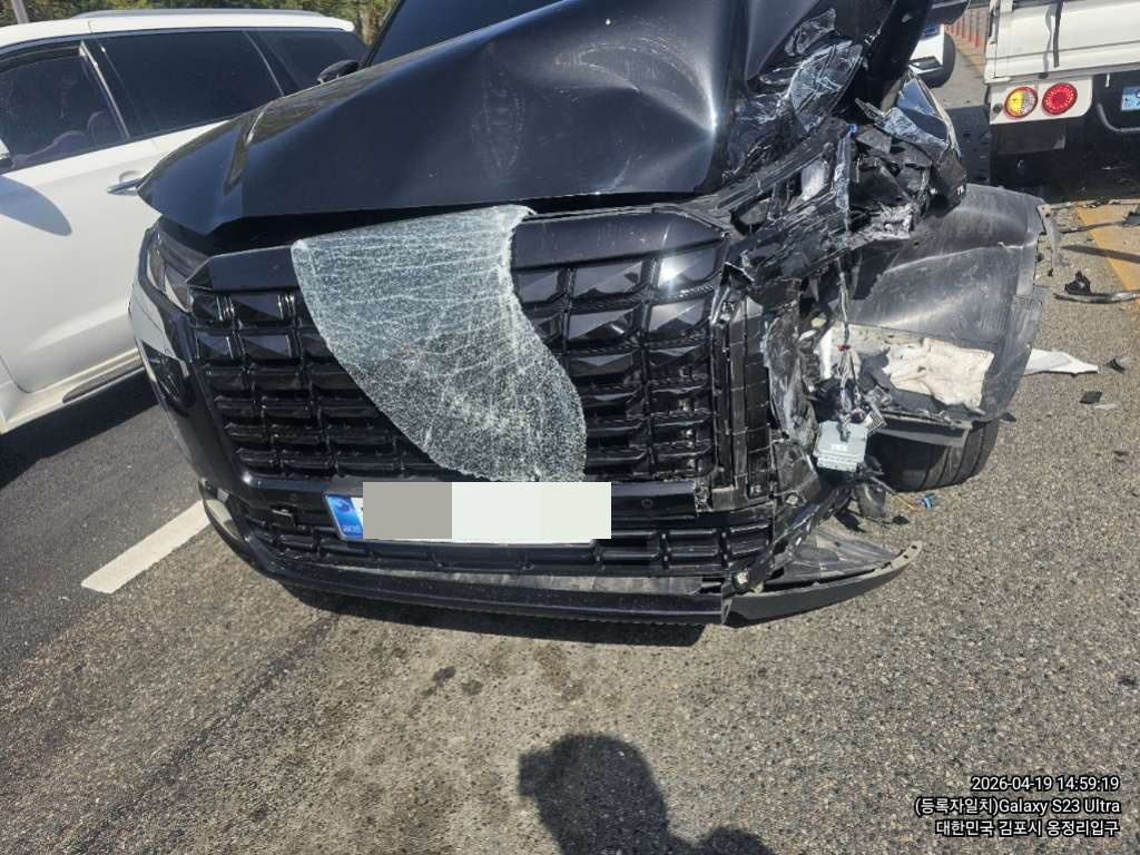 팰리세이드(PALISADE)(사업자)