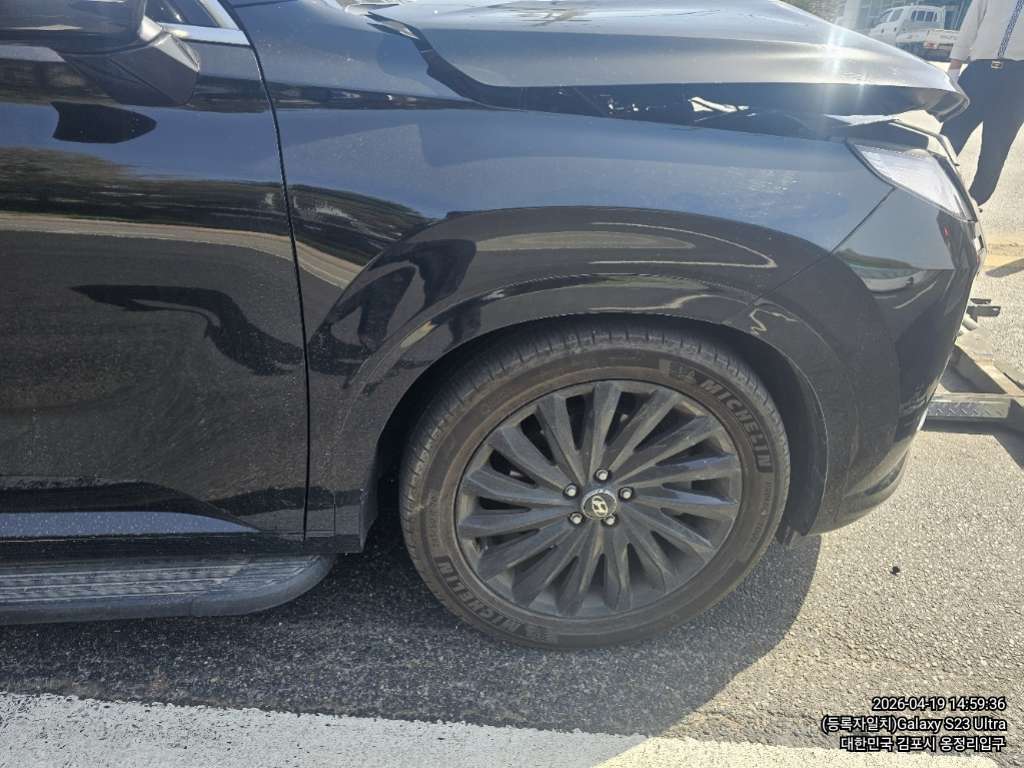 팰리세이드(PALISADE)(사업자)