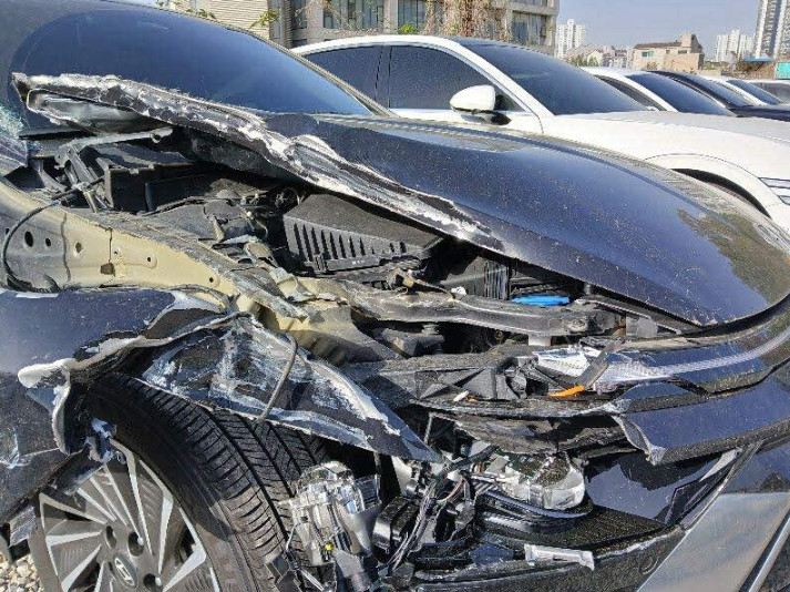 쏘나타 하이브리드 (SONATA Hybrid)