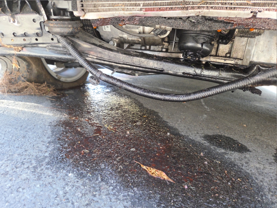 스타리아 (STARIA)