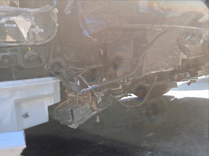 스타리아 (STARIA)