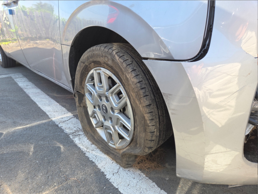 스타리아 (STARIA)