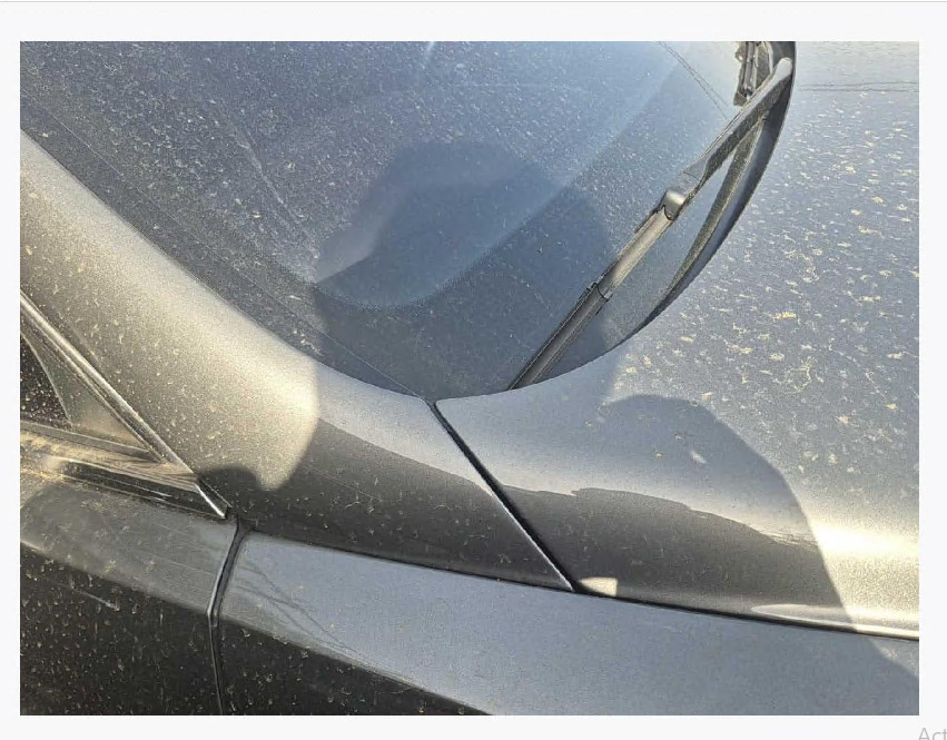 Continental Flying Spur Speed