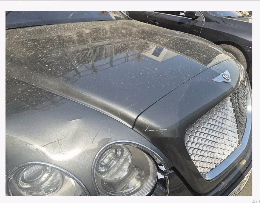 Continental Flying Spur Speed