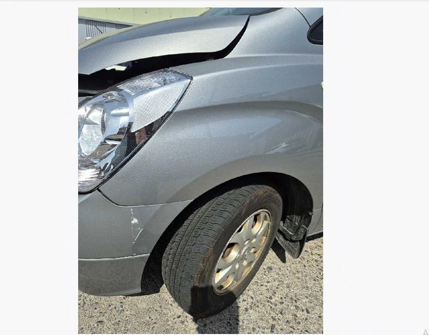 그랜드 스타렉스(GRAND STAREX)