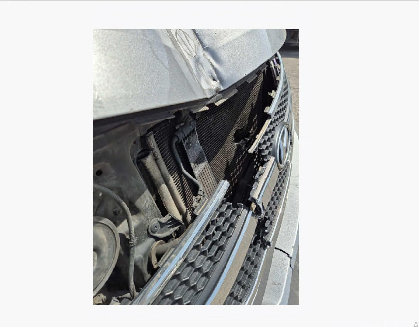 그랜드 스타렉스(GRAND STAREX)