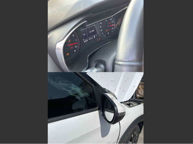 트레일블레이저 1.35 TURBO FWD