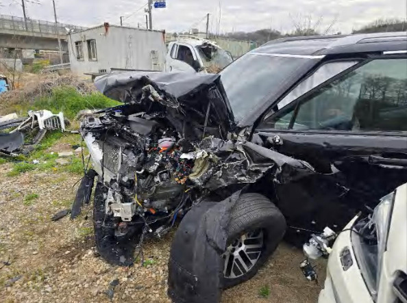 팰리세이드 하이브리드(PALISADE HYBRID)