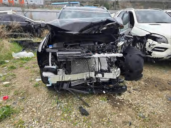 팰리세이드 하이브리드(PALISADE HYBRID)