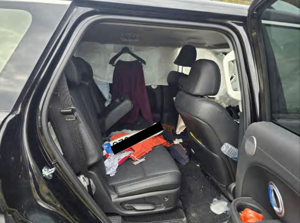 팰리세이드 하이브리드(PALISADE HYBRID)