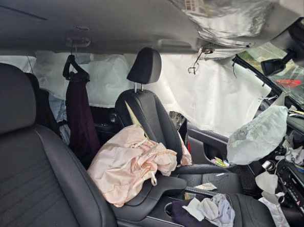 팰리세이드 하이브리드(PALISADE HYBRID)