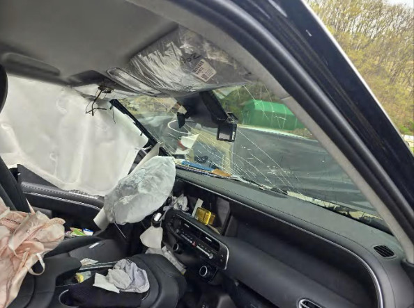 팰리세이드 하이브리드(PALISADE HYBRID)