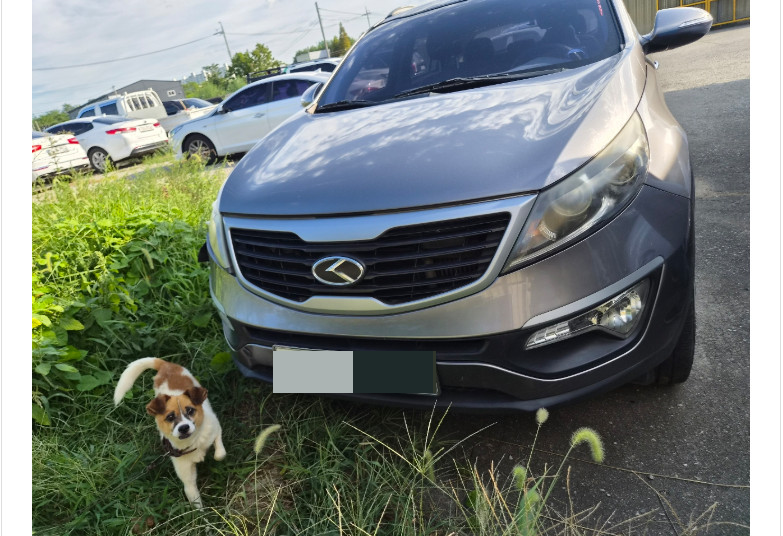 car image thumbnail