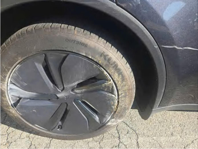 Model Y RWD