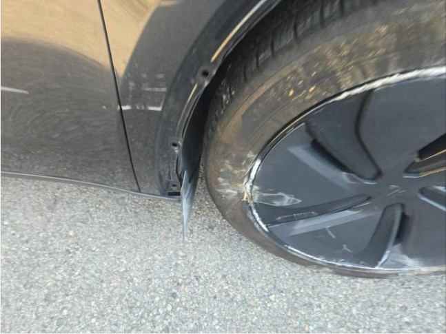 Model Y RWD