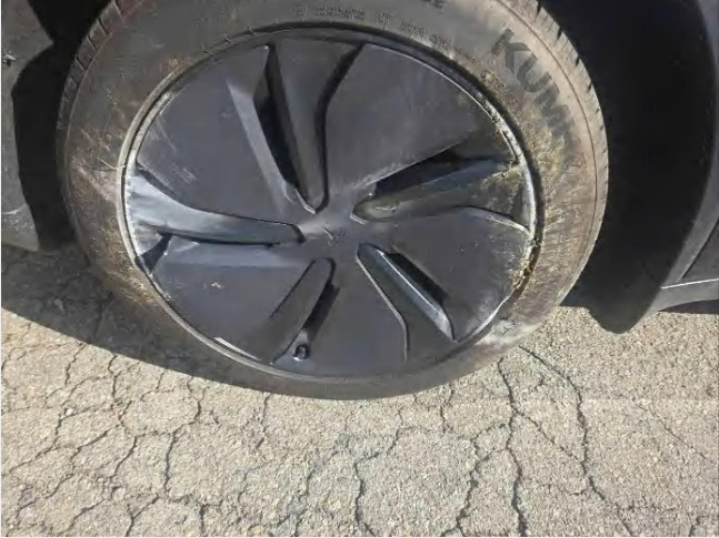 Model Y RWD