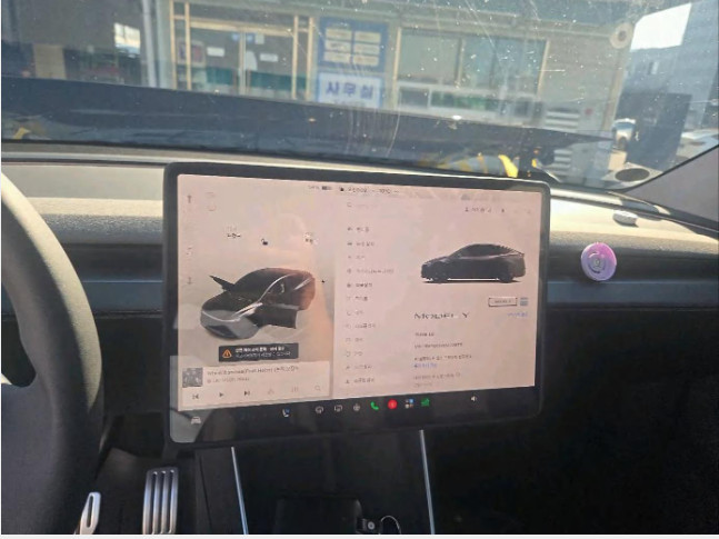 Model Y RWD