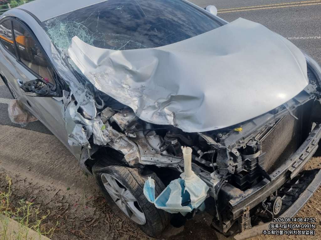 아반떼(AVANTE)