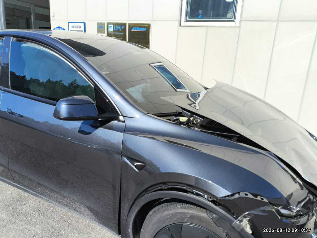 Model Y Premium RWD (사업자)