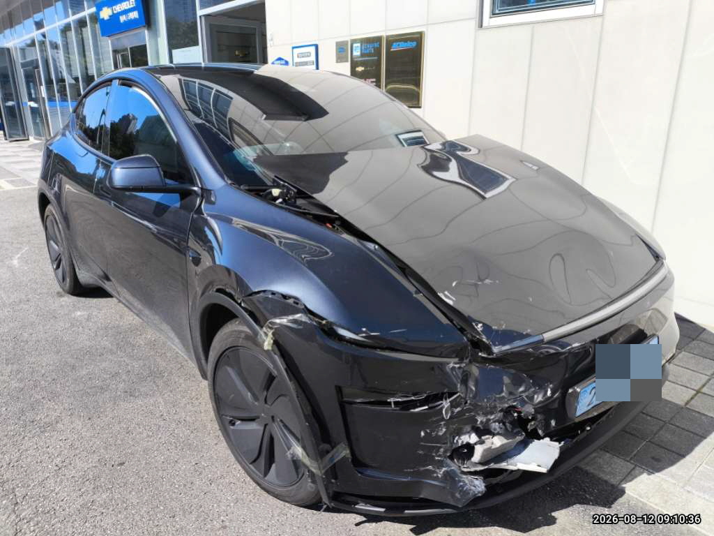 Model Y Premium RWD (사업자)