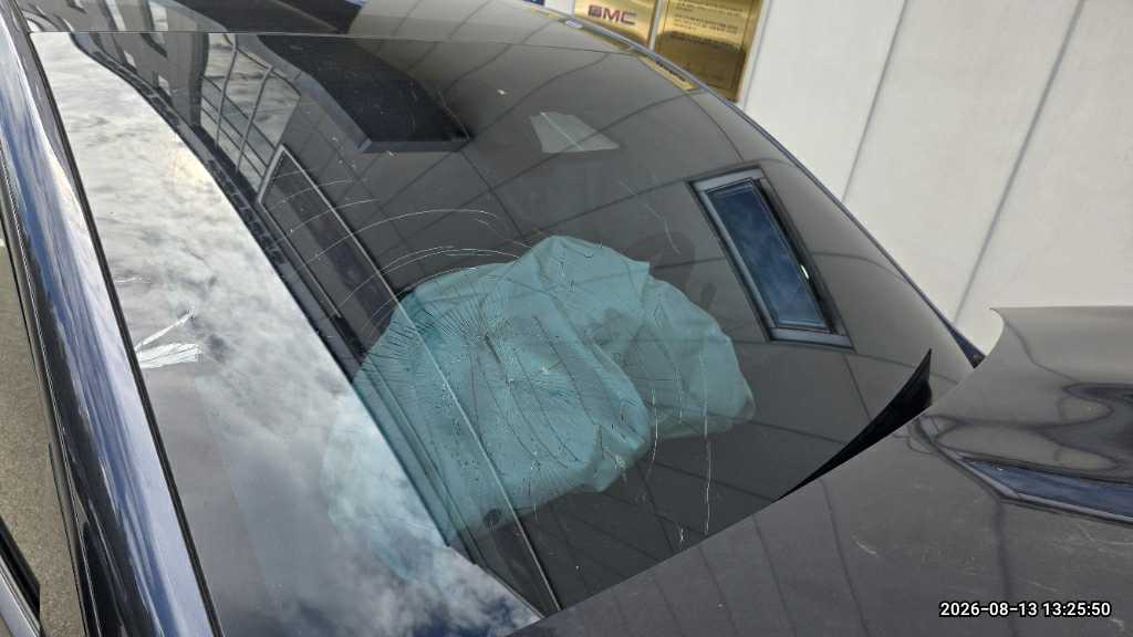 Model Y Premium RWD (사업자)