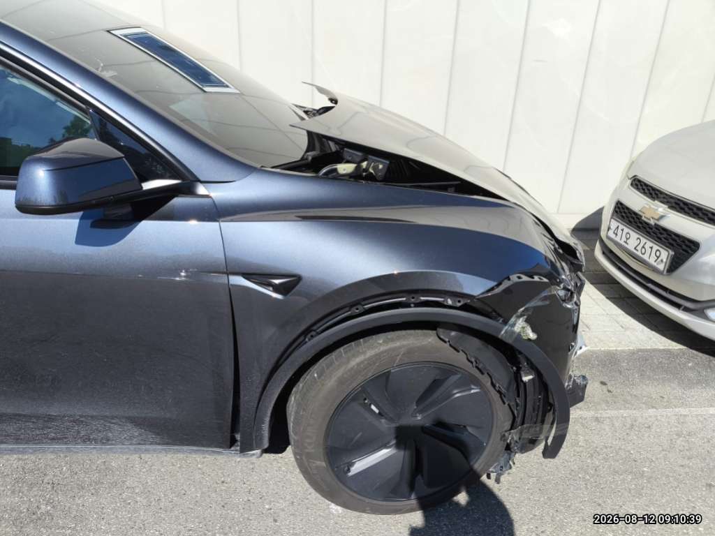 Model Y Premium RWD (사업자)