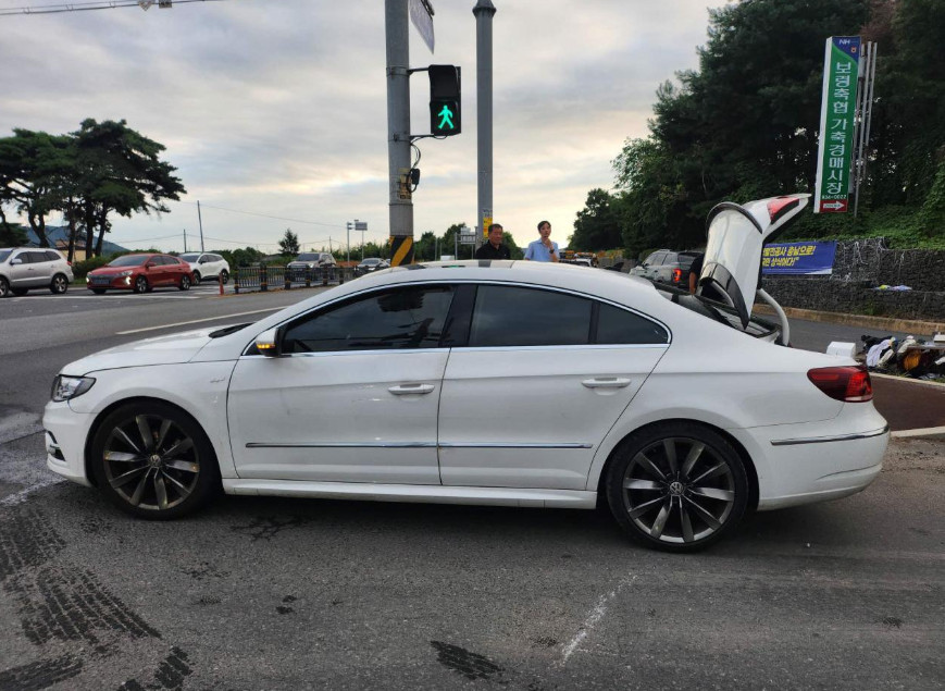 CC 2.0 TDI Blue Motion
