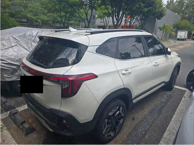 셀토스