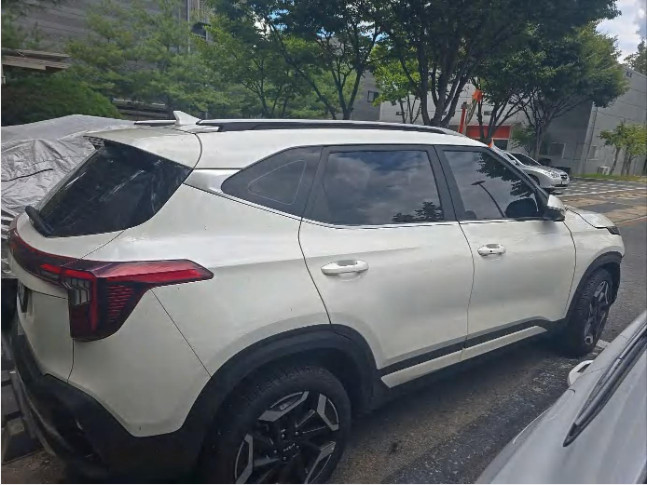 셀토스