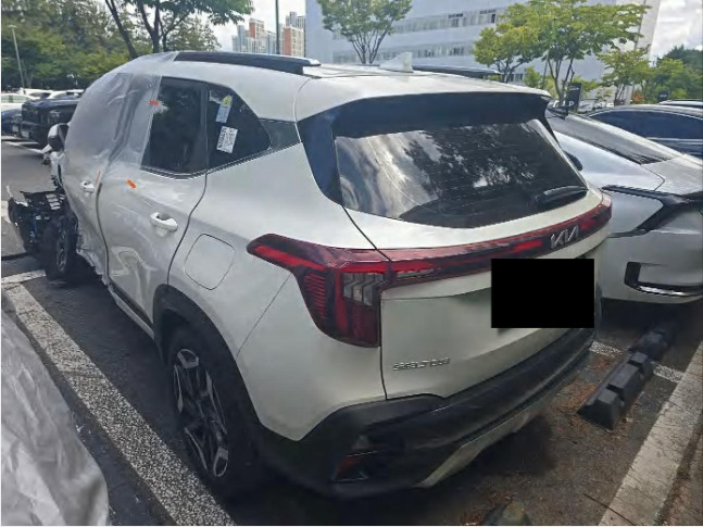셀토스