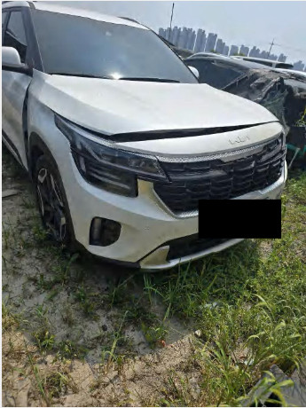 셀토스